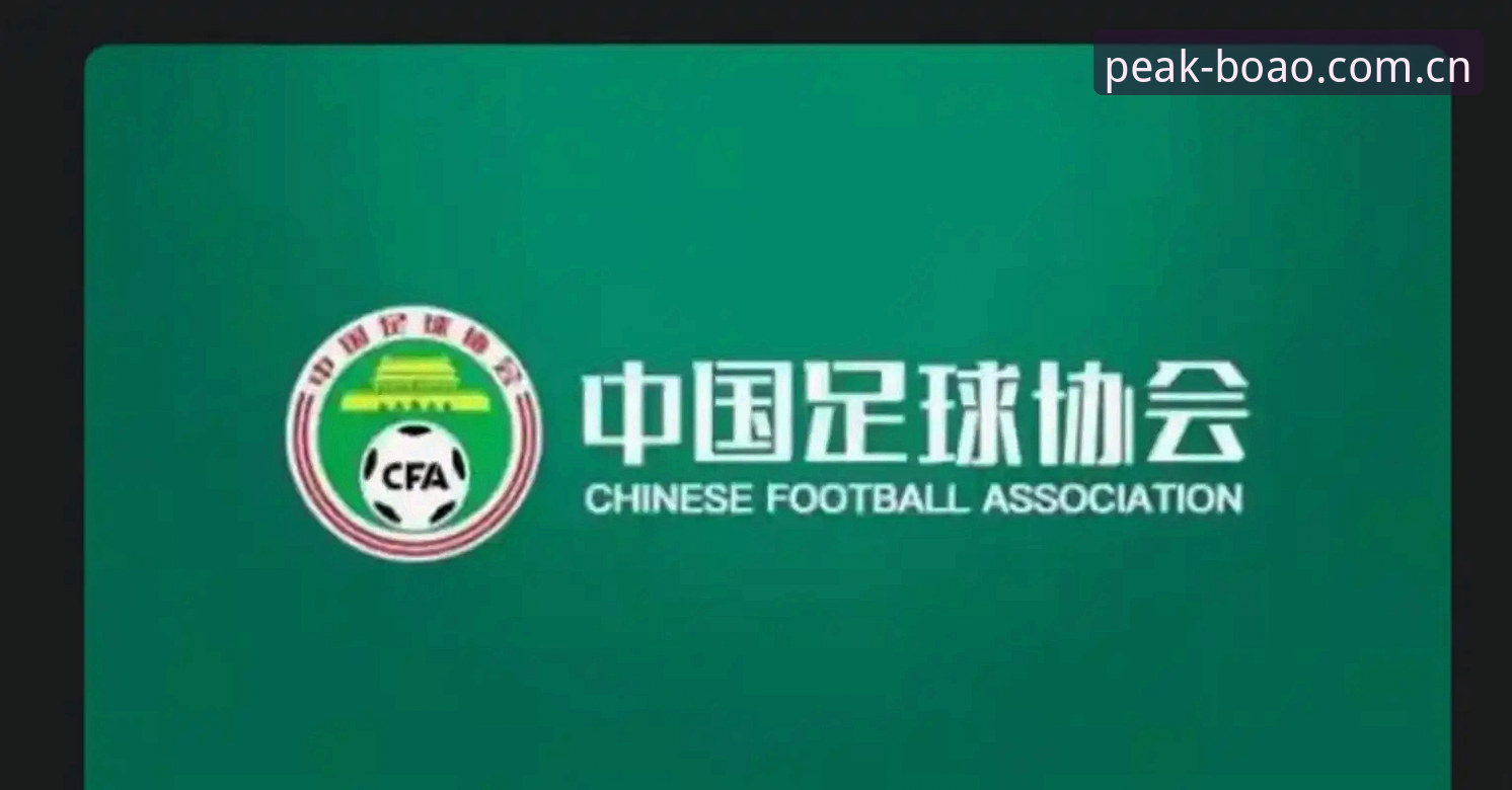 中国足协第三批禁足名单深度评测：足球反腐风暴下的行业净化与用户观察